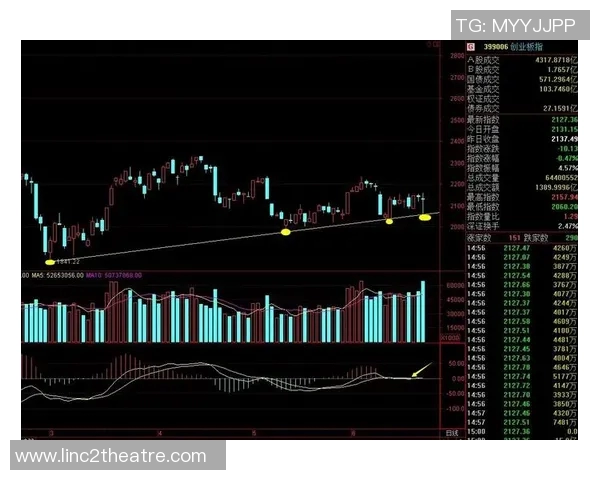 深入分析V5战队的进攻策略与战术布局探讨